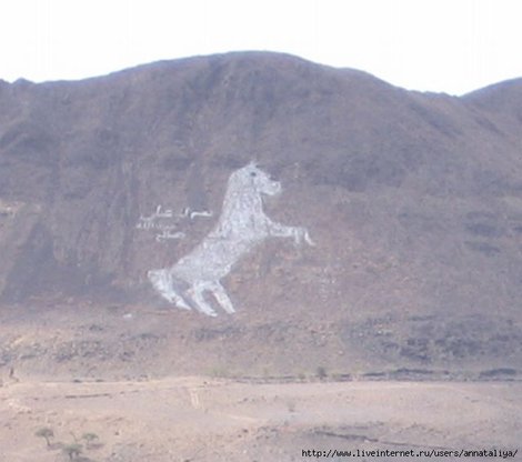 А вот и лошади. Например, из камешков в горах! :) Йемен