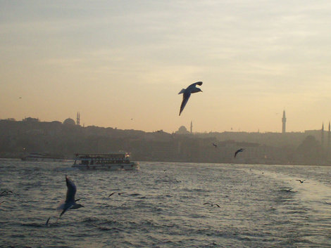 Паромы на Азиатский берег Стамбул, Турция