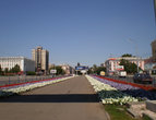 Аллея на проспекте Ленина, клумба в виде российского триколора