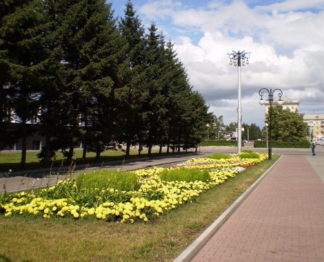 Городские цветы Барнаул, Россия
