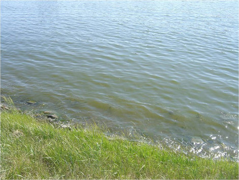 Вода озера Казань, Россия