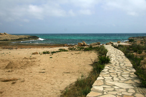 такие дорожки тянутся вдоль всех пляжей Айя-Напы Кипр