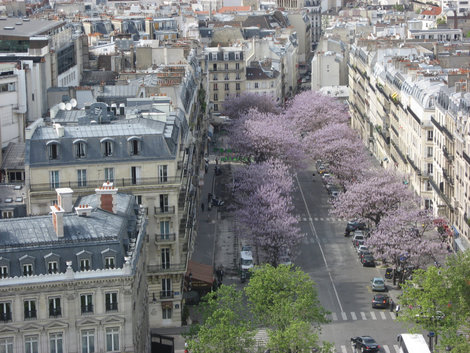 Весенний Париж Париж, Франция
