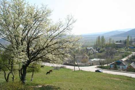 Весна в Крыму Севастополь, Россия
