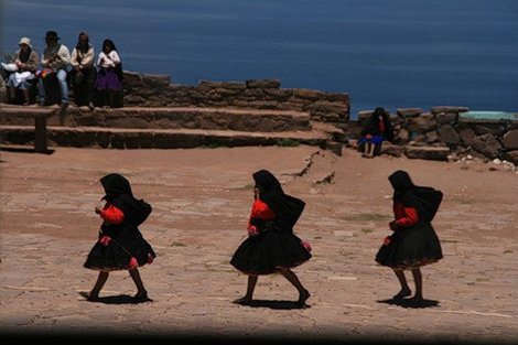 Шмокодявка с Острова Такуили Остров Такуили, Перу