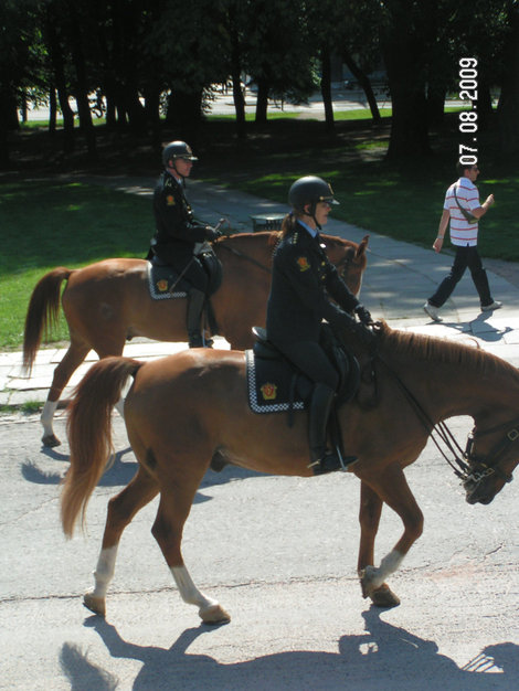 Предупредительная конная полиция едет впереди, заботливо удаляя зевак с маршрута Осло, Норвегия