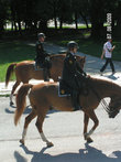 Предупредительная конная полиция едет впереди, заботливо удаляя зевак с маршрута