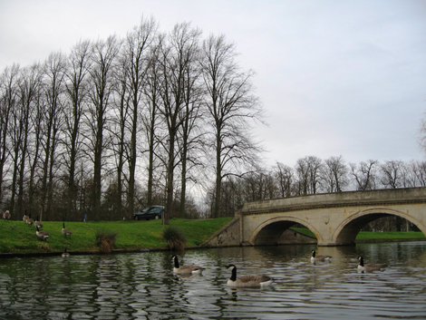 Мост через реку Кем Кембридж, Великобритания