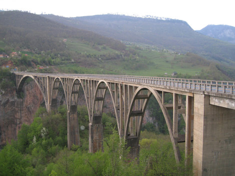 Над рекой Тара возвышается самый высокий (160 метров) мост Европы. Переправа Джурджевича Тара, связывает Черногорию с её высокогорными районами, а соответственно и с Сербией. Черногория
