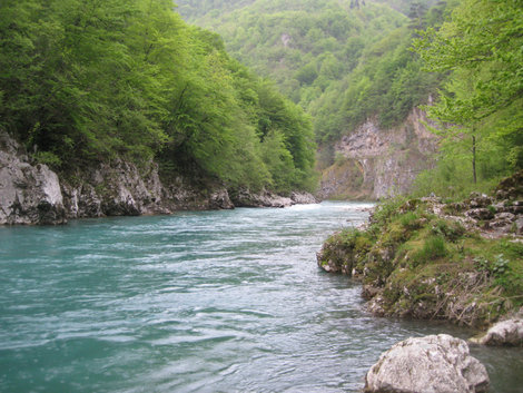 река Тара Черногория