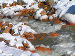 Зимой, во время уменьшения количества талой воды реки Геналдонского ущелья превращаются в сплощную минералку