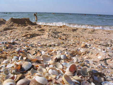 Ракушечный пляж Азовского моря Темрюк, Россия