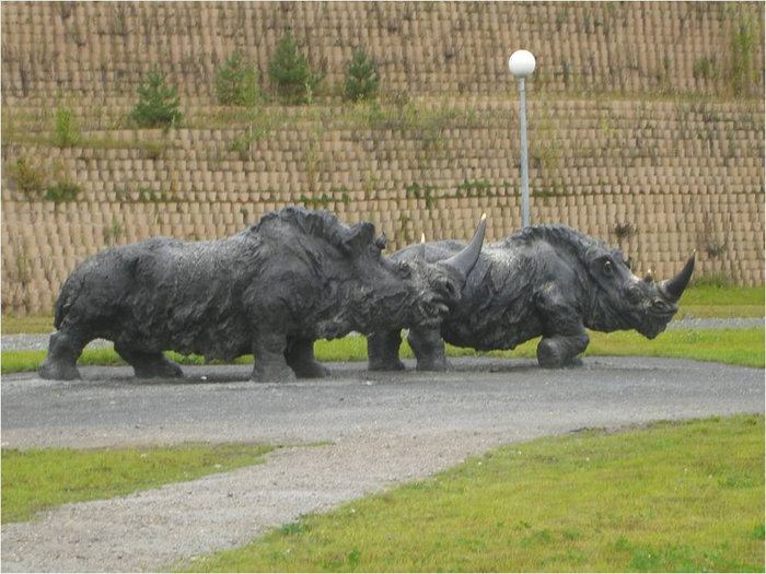 Носороги Ханты-Мансийск, Россия