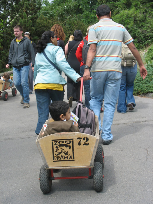 Многие родители возят детей в тележках Прага, Чехия