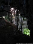 Правда, комаров там была целая куча. Поэтому, оглядев пещерку со всех сторон, мы быстренько отправились в обратный путь! :))