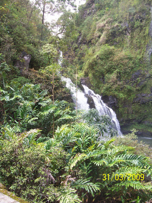Водопад в джунглях Хана, CША