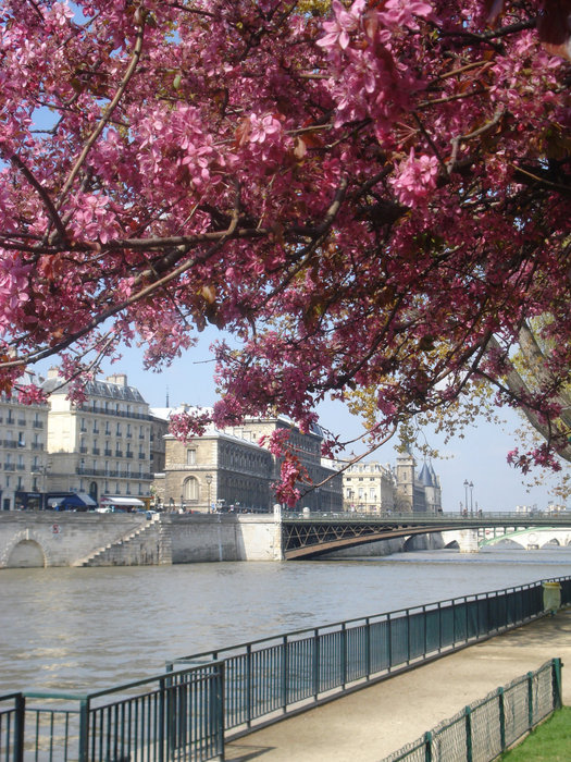 Апрельский Париж Париж, Франция