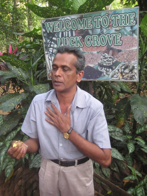Наш экскурсовод, показвающий нам растения, рассказывая, как его используют люди для своих целей. Центральная провинция, Шри-Ланка