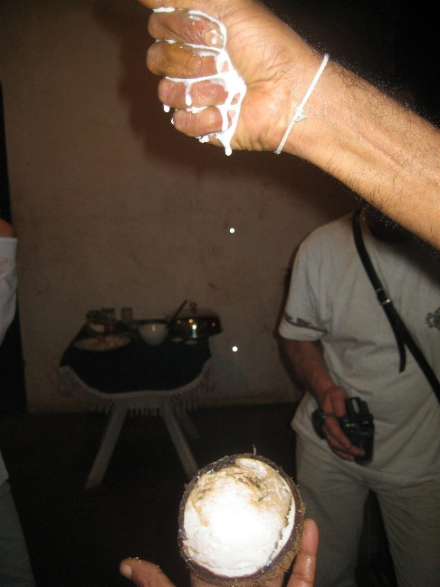Из кокосовой стружки можно выжать кокосовое молоко. Центральная провинция, Шри-Ланка