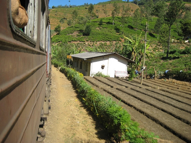 В поезде Центральная провинция, Шри-Ланка