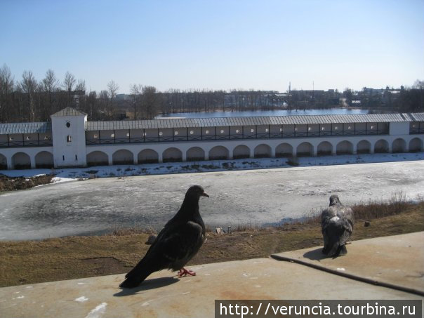 Вид на монастырскую стену и двор Тихвин, Россия