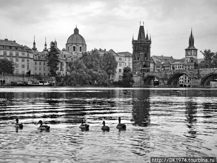 Черно-белые сны о  Праге Прага, Чехия