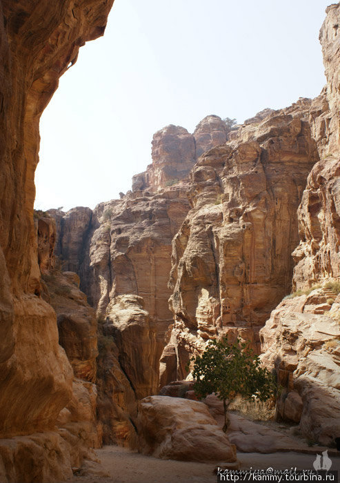 Вход в ущелье длиной в 2 км обещает интересные приключения Петра, Иордания