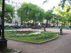 Тюльпаны у памятника Есенину