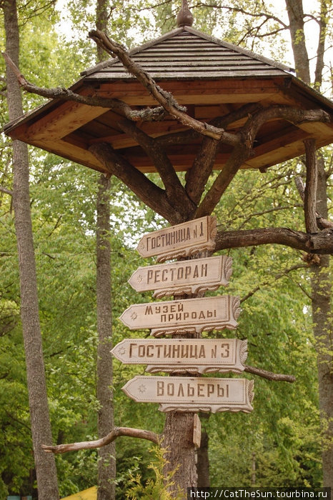 Налево пойдешь — все, что хошь, найдешь... Брестская область, Беларусь