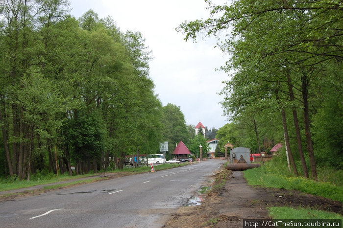 По роще на автобусе Брестская область, Беларусь