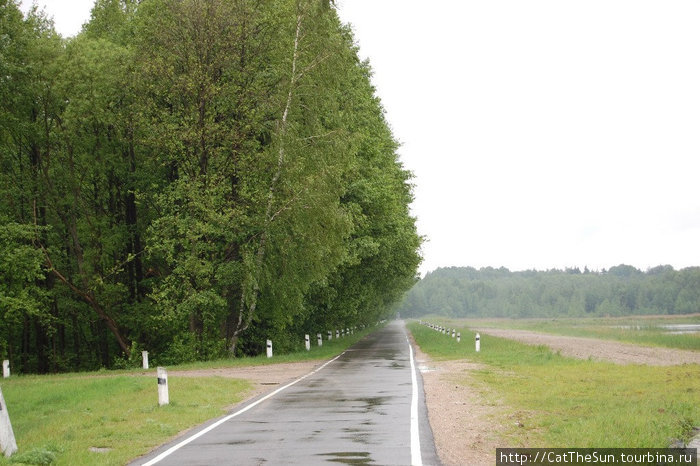 Зеленые друзья Лядского озера Брестская область, Беларусь