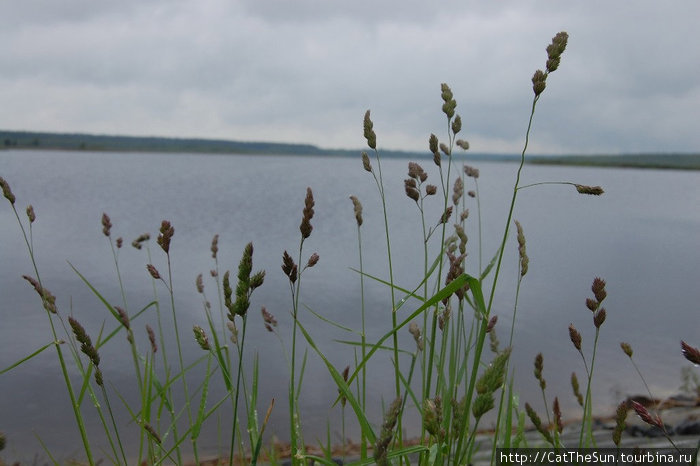 Зеленые друзья Лядского озера Брестская область, Беларусь