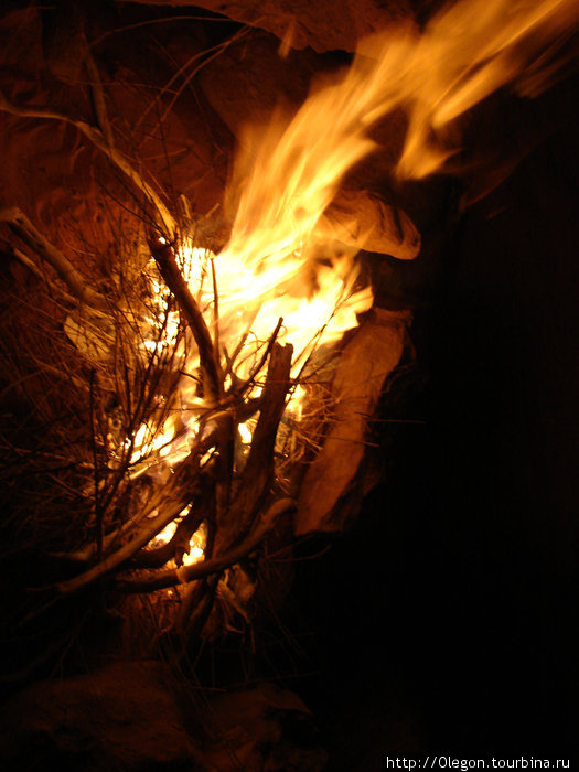 Саксаул горит.. Пустыня Вади Рам, Иордания
