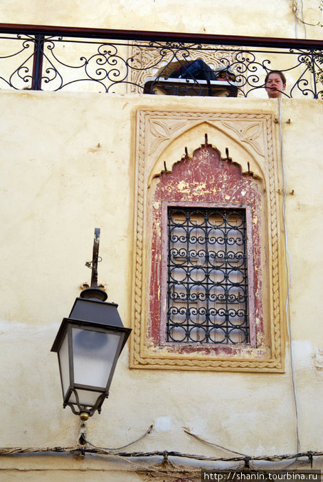 Любопытный на террасе Фес, Марокко