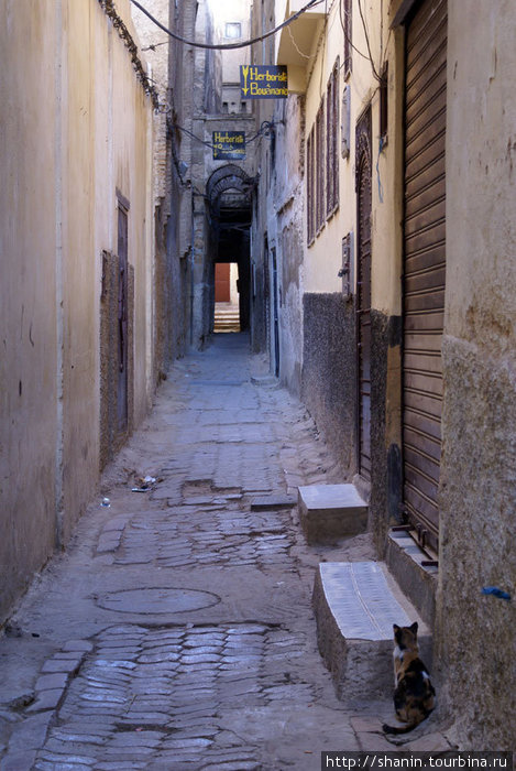 Узкая улочка Фес, Марокко