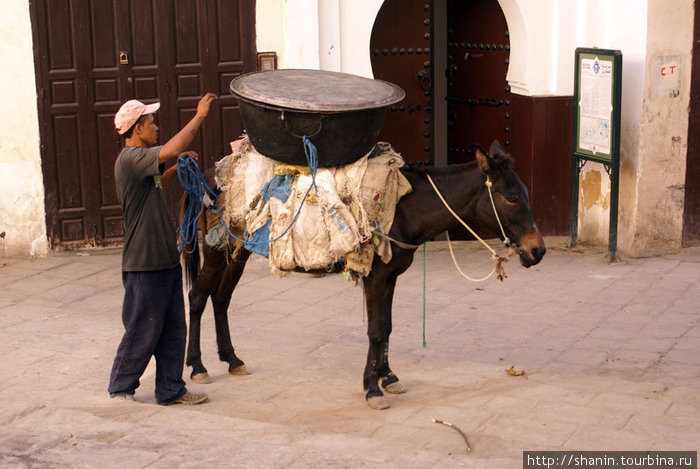 Перевозка грузов на тягловой силе — машин-то в центре Феса нет! Фес, Марокко