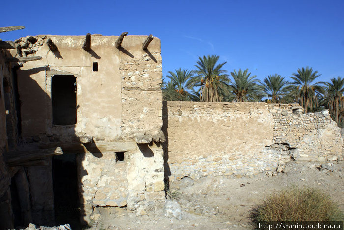 Руины двухэтажного дома и финиковые пальмы Кебили, Тунис