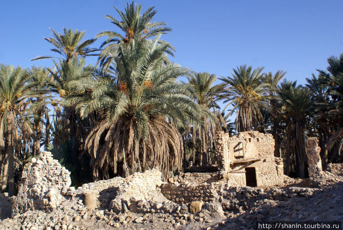 Руины у финиковой рощи Кебили, Тунис