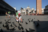 редкие голуби, встречающиеся на площади Сан-Марко