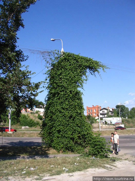 Столбы в камуфляже :) Воронеж, Россия