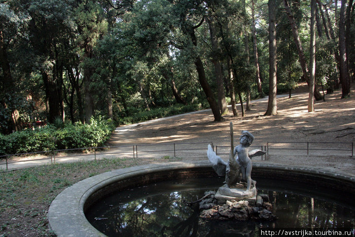 пруд в парке Мирамаре Мирамаре, Италия