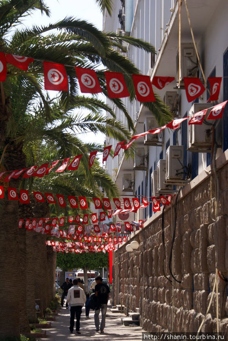 Подготовка к выборам — флажки с национальным флагом Туниса Сфакс, Тунис