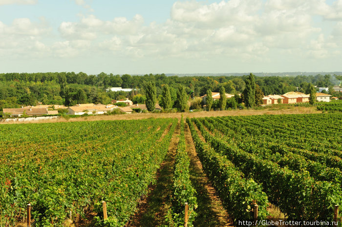 Виноградники Бордо, Франция