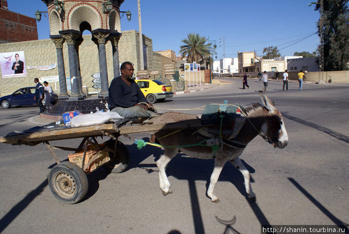 Местный транспорт — дешево и практично Таузар, Тунис