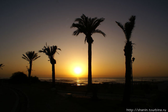 Рассвет в Хаммамете Хаммамет, Тунис