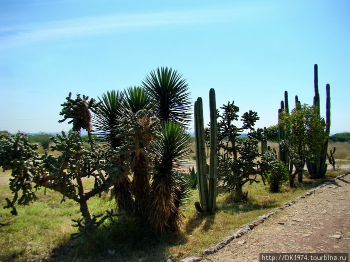 В этом городе пряников и самоваров нет Тула-де-Альенде, Мексика