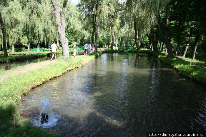 Крымский природный заповедник Ялта, Россия