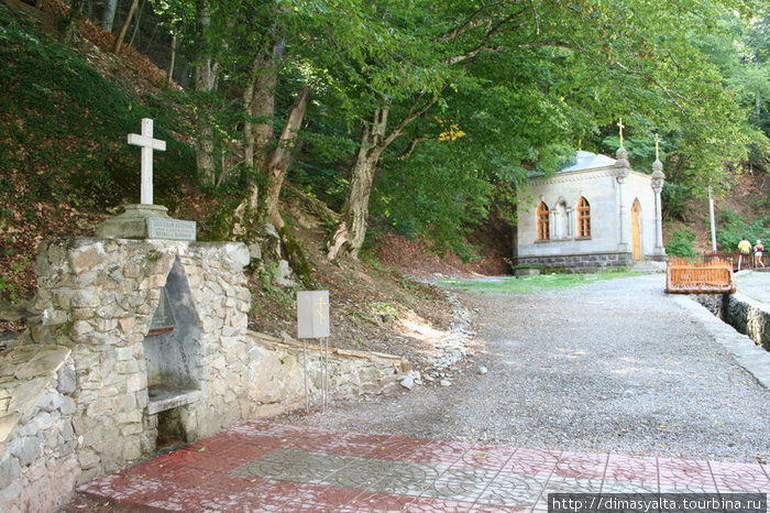 Крымский природный заповедник Ялта, Россия