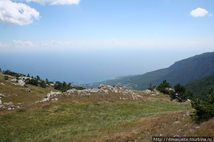 Крымский природный заповедник Ялта, Россия