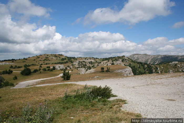 Крымский природный заповедник Ялта, Россия